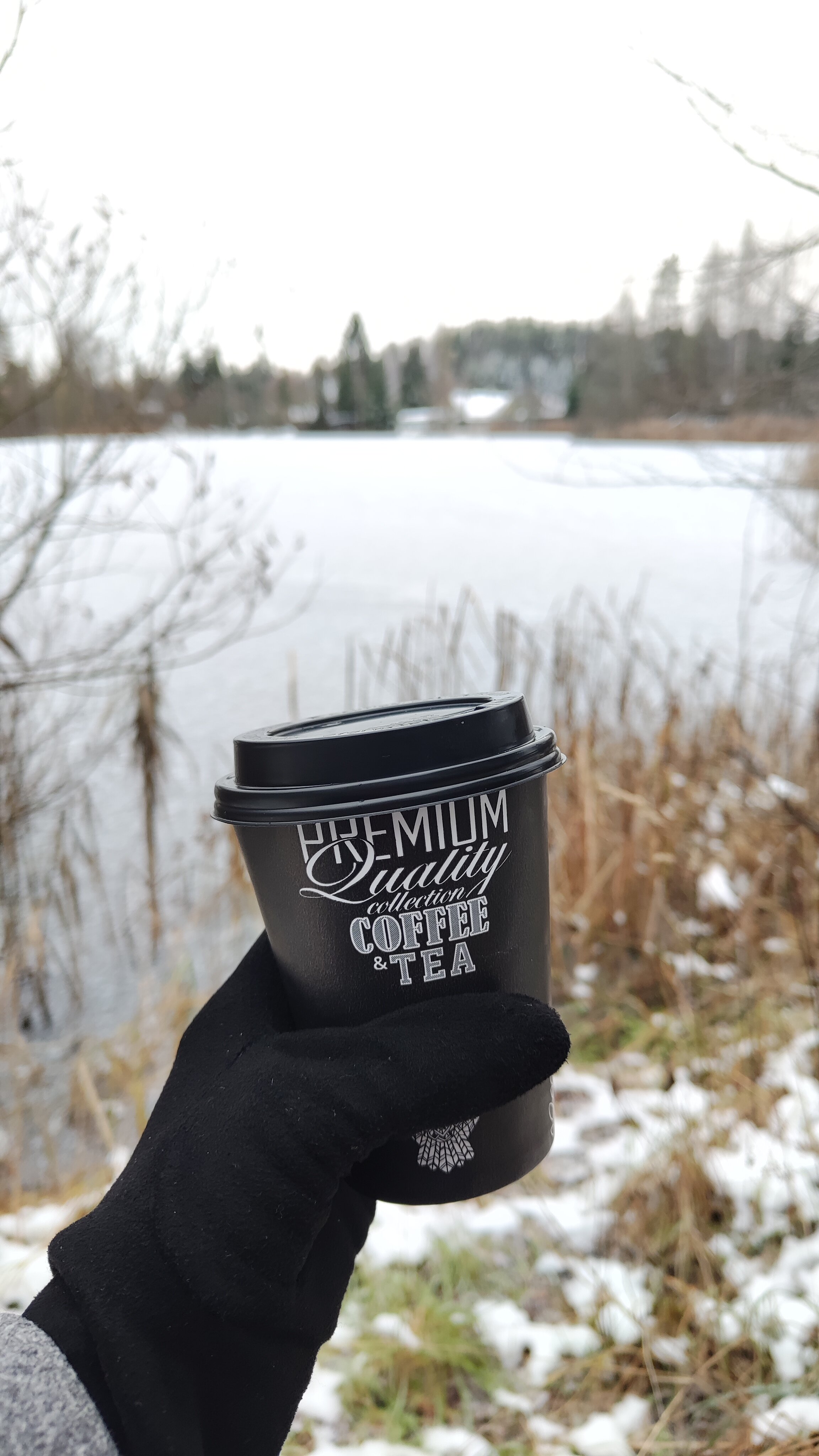 Фото Пикник 2.0