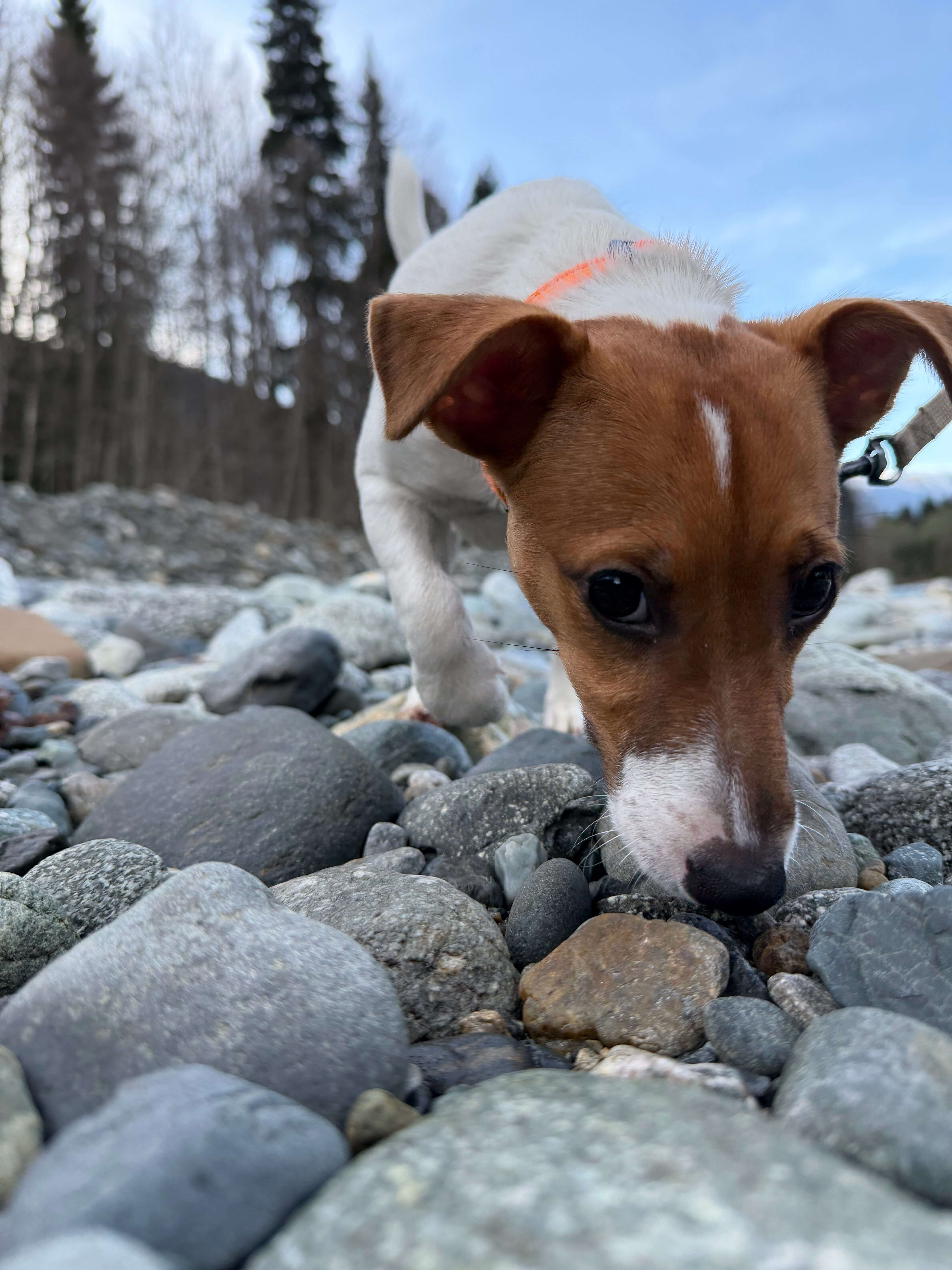 Фото Айя-София