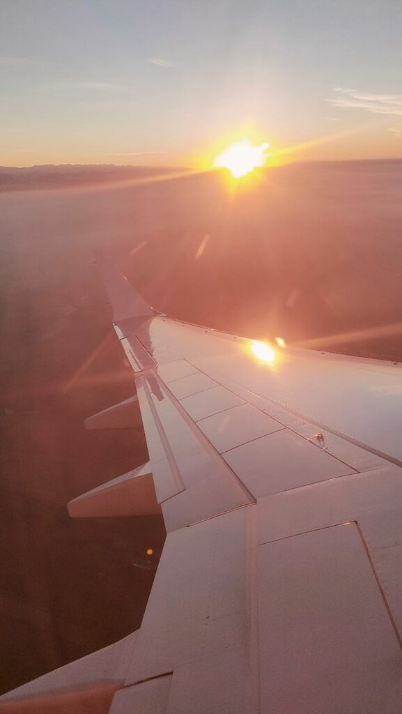 Restaurant DoubleTree by Hilton Shymkent, Chimkent, photo