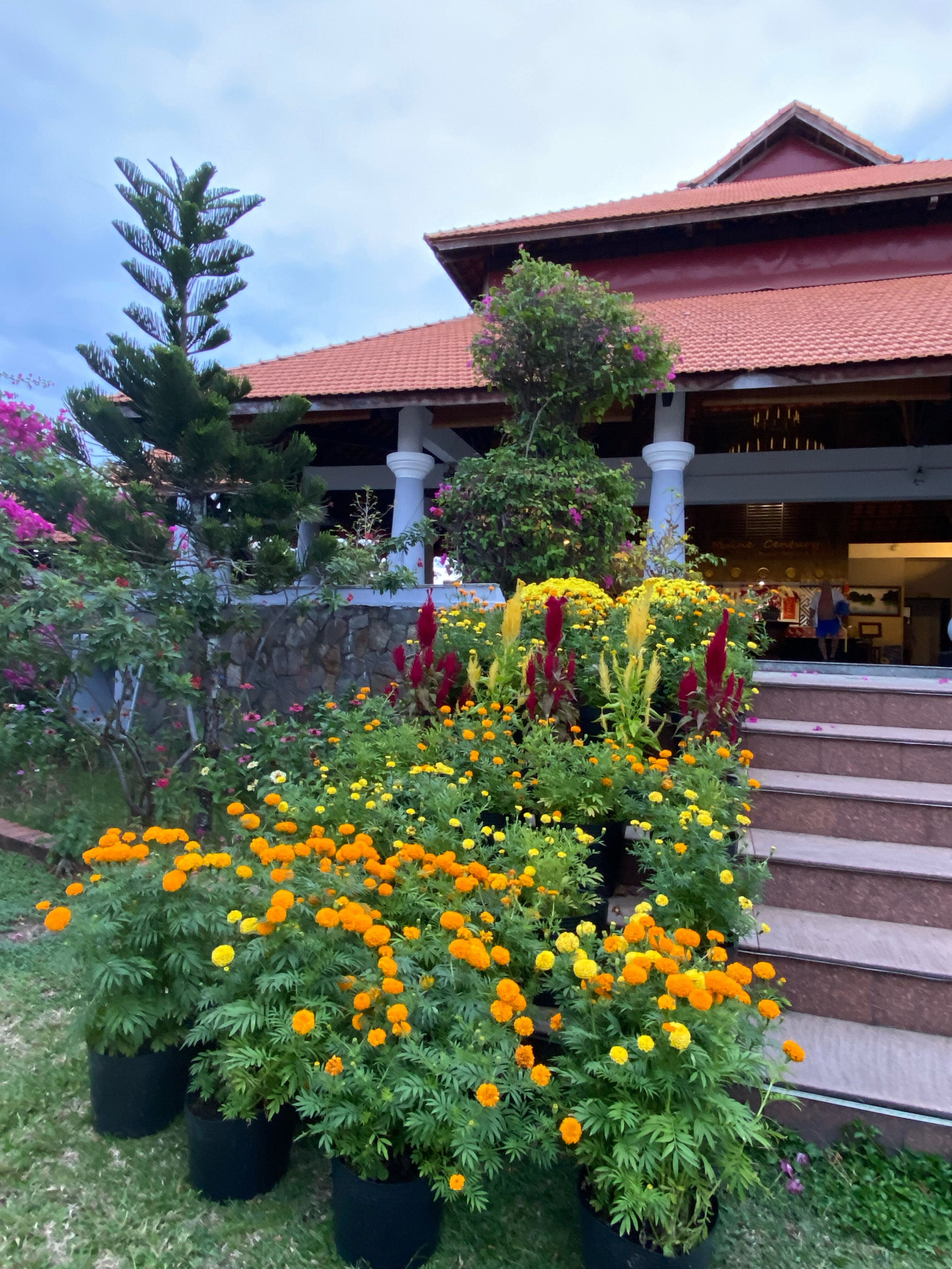 Фото MuiNe Century Beach Resort and SPA