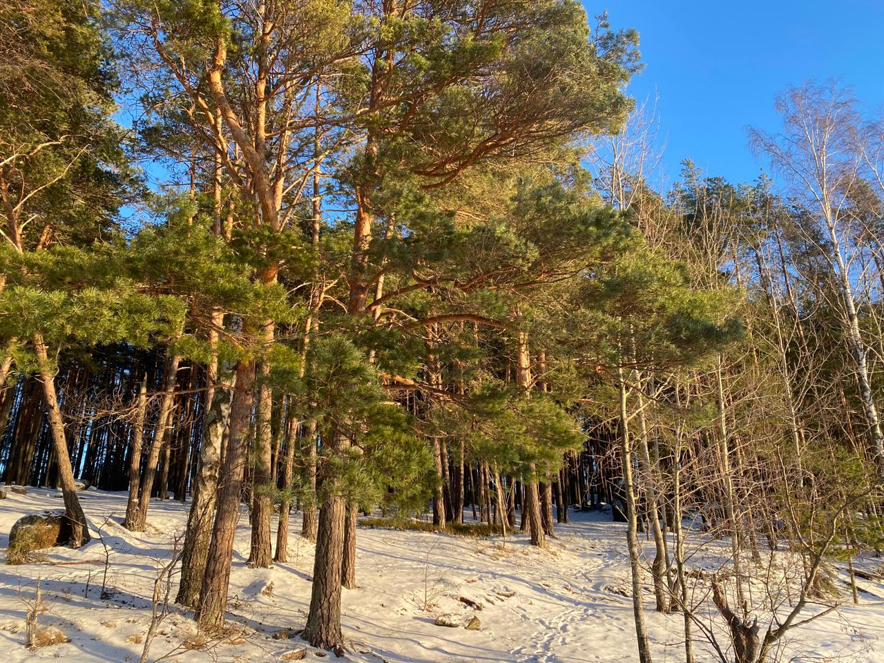 Фото Дом на Береговой