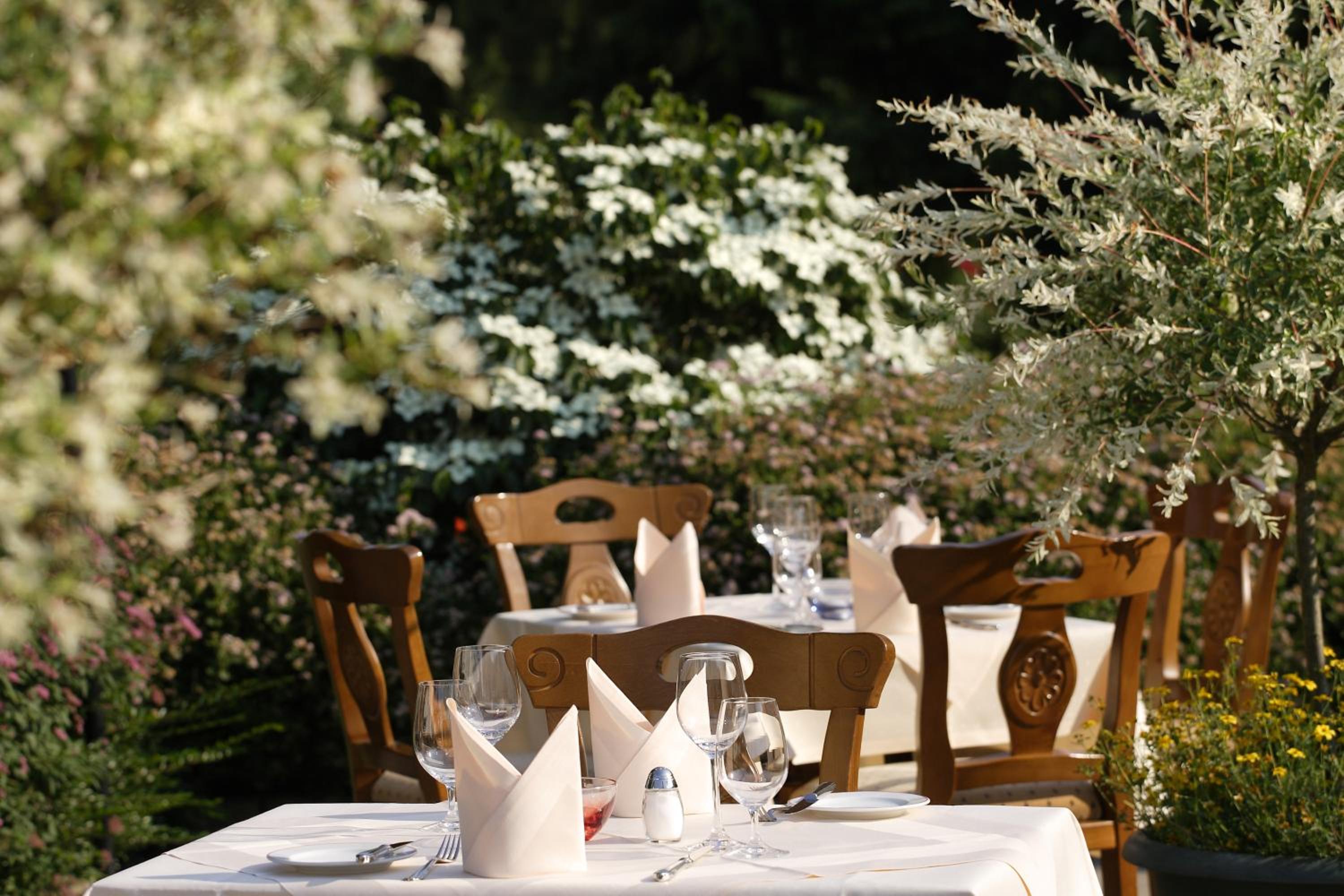 Фото Hotel Schaper