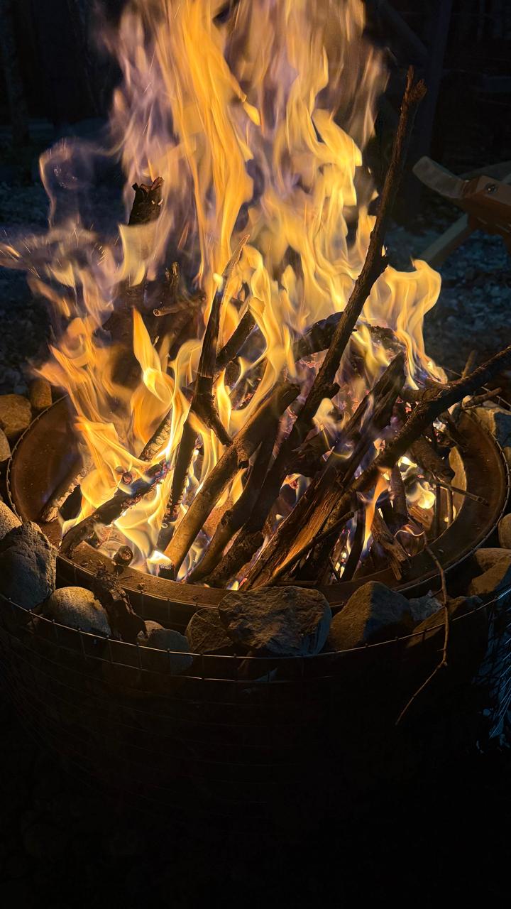 Фото Шёпот Леса