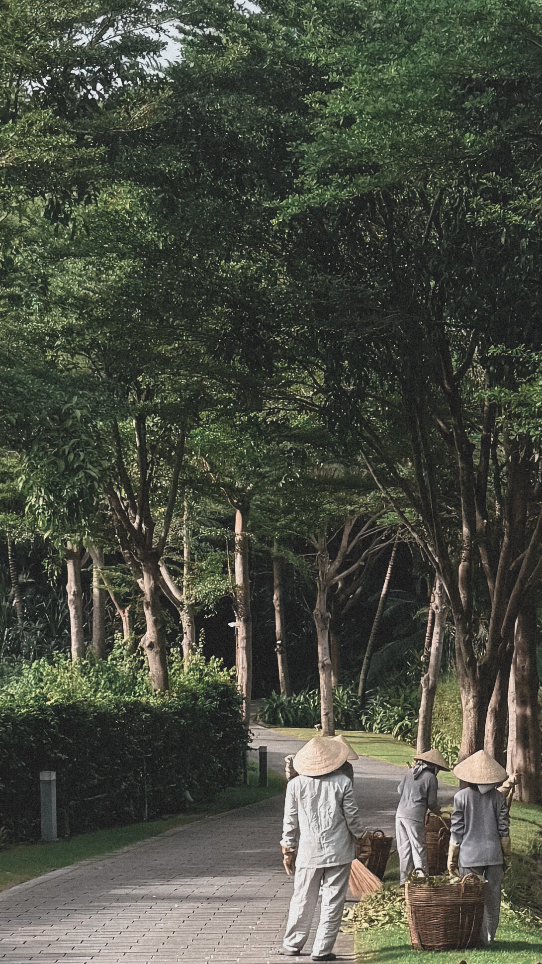 Фото Mia Resort Nha Trang