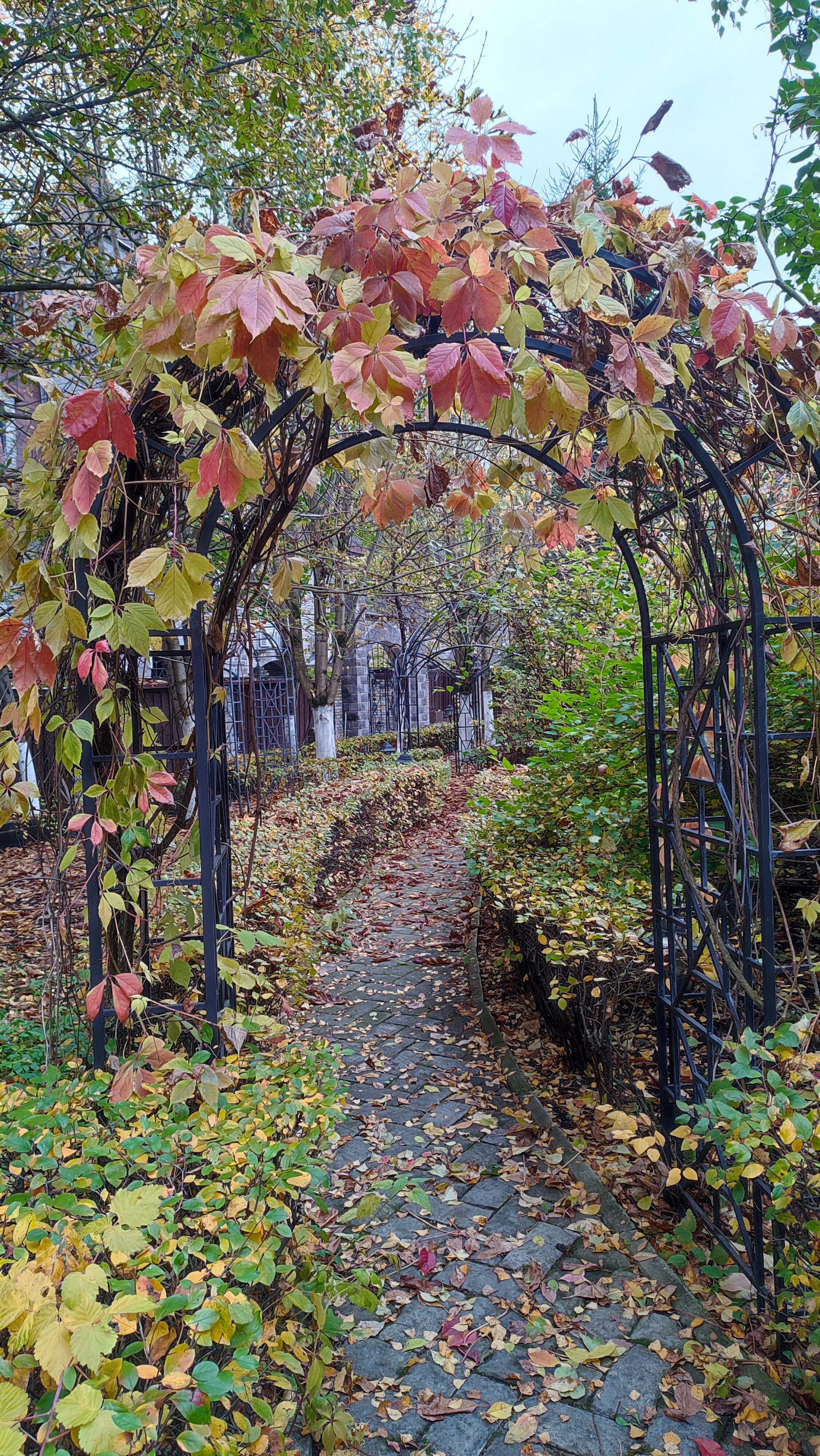 Фото Немчиновка-парк