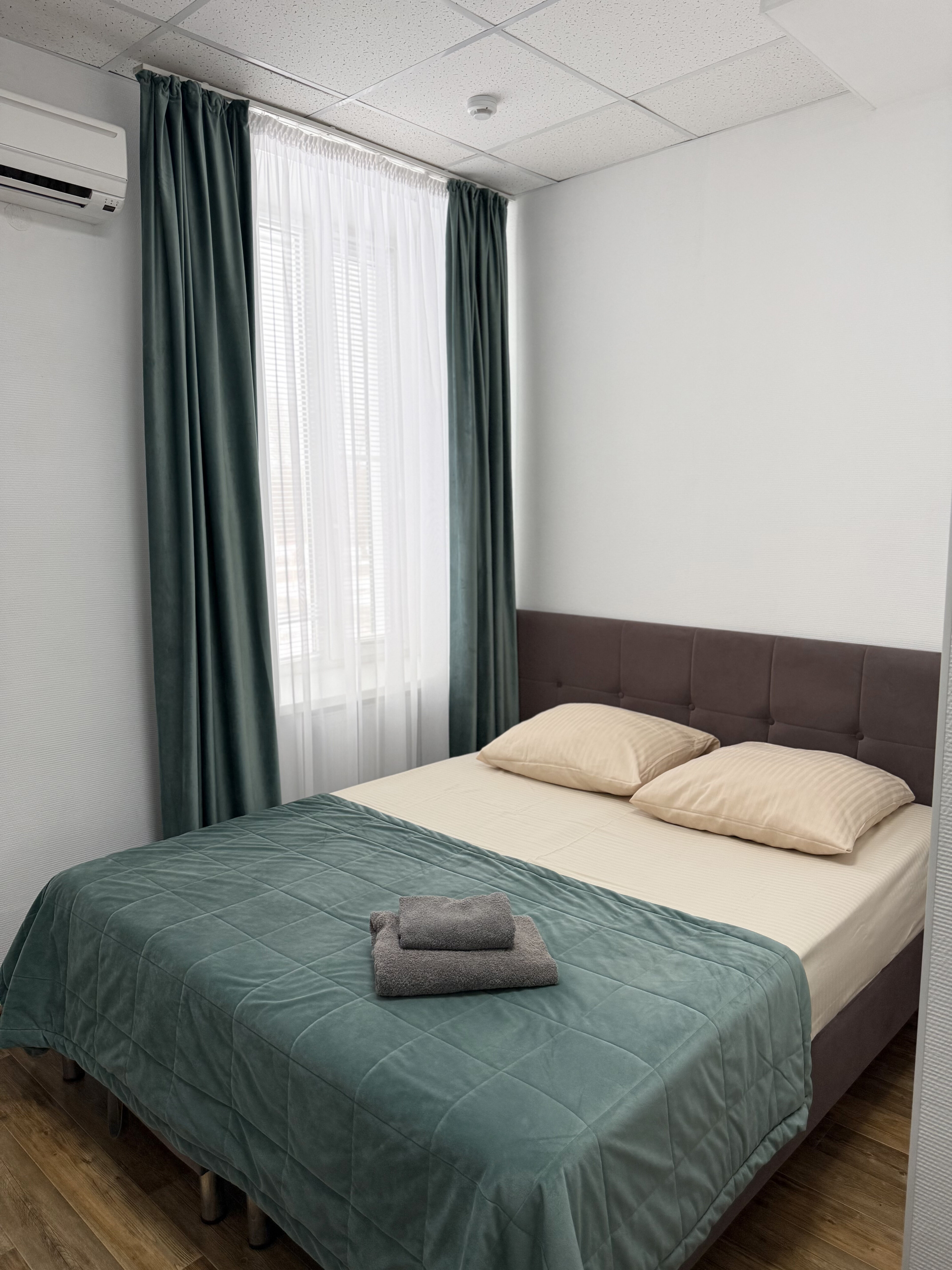 Фото Медуза