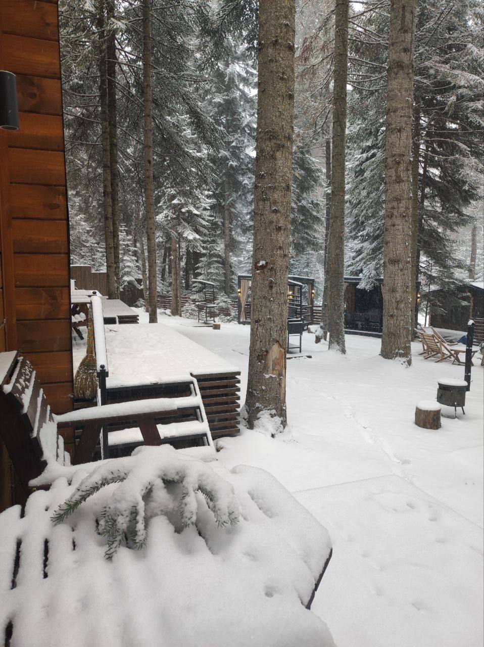 Фото Барн и Лес