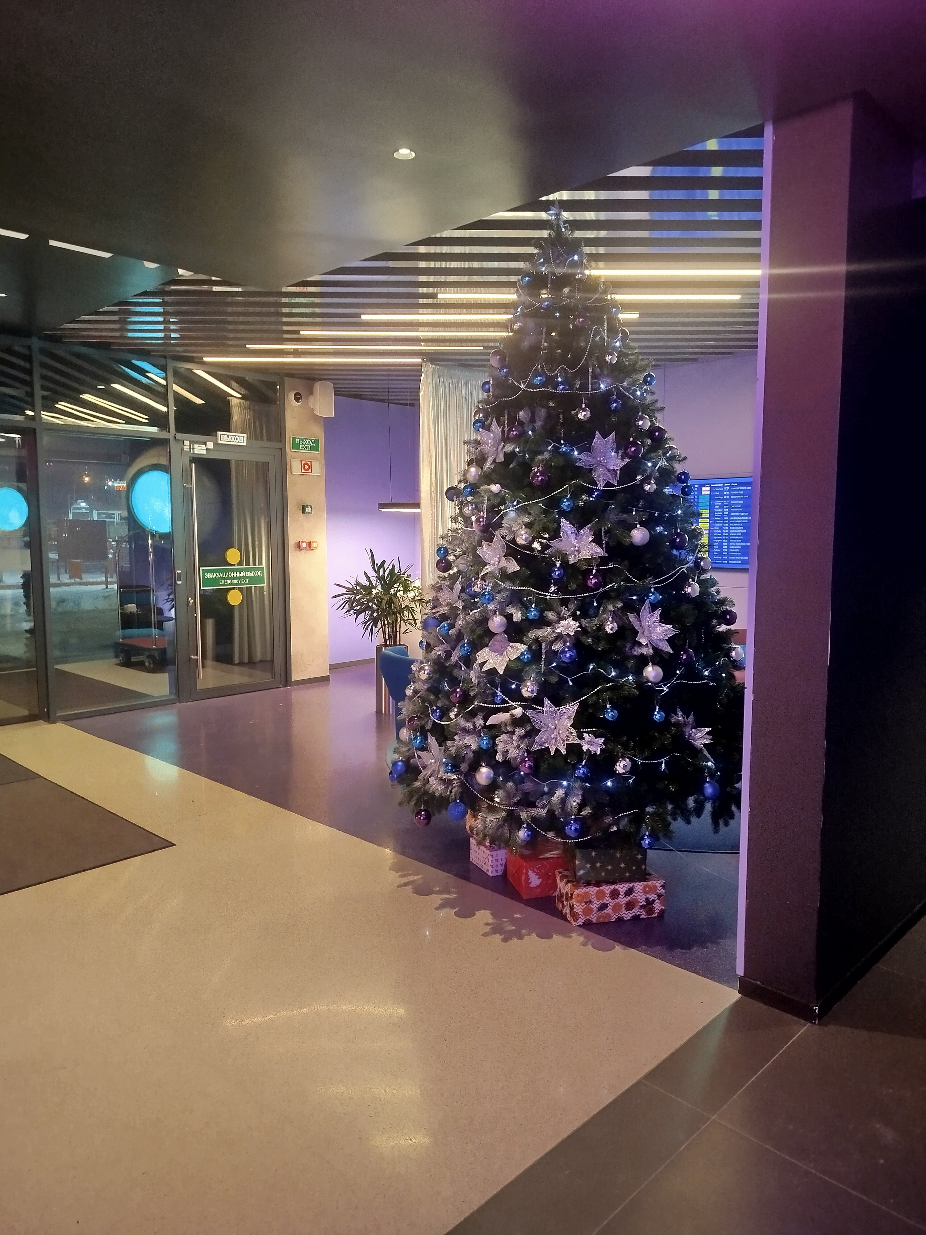 Фото НЕБОАРТ