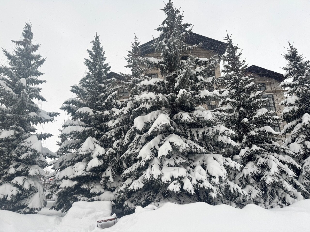 Фото Отель Россия