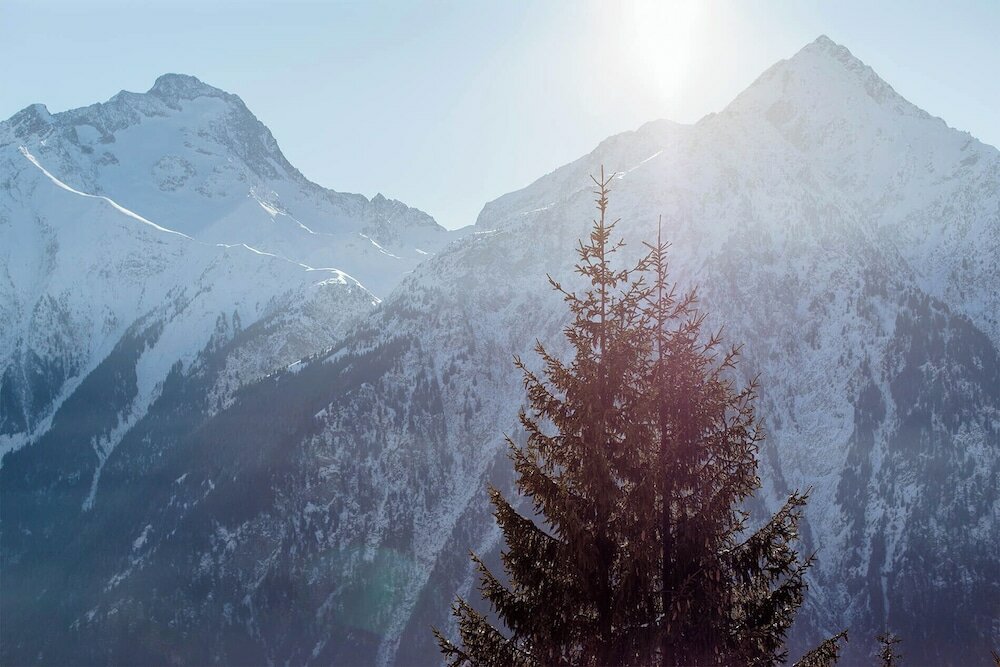 Фото Hotel Ibiza