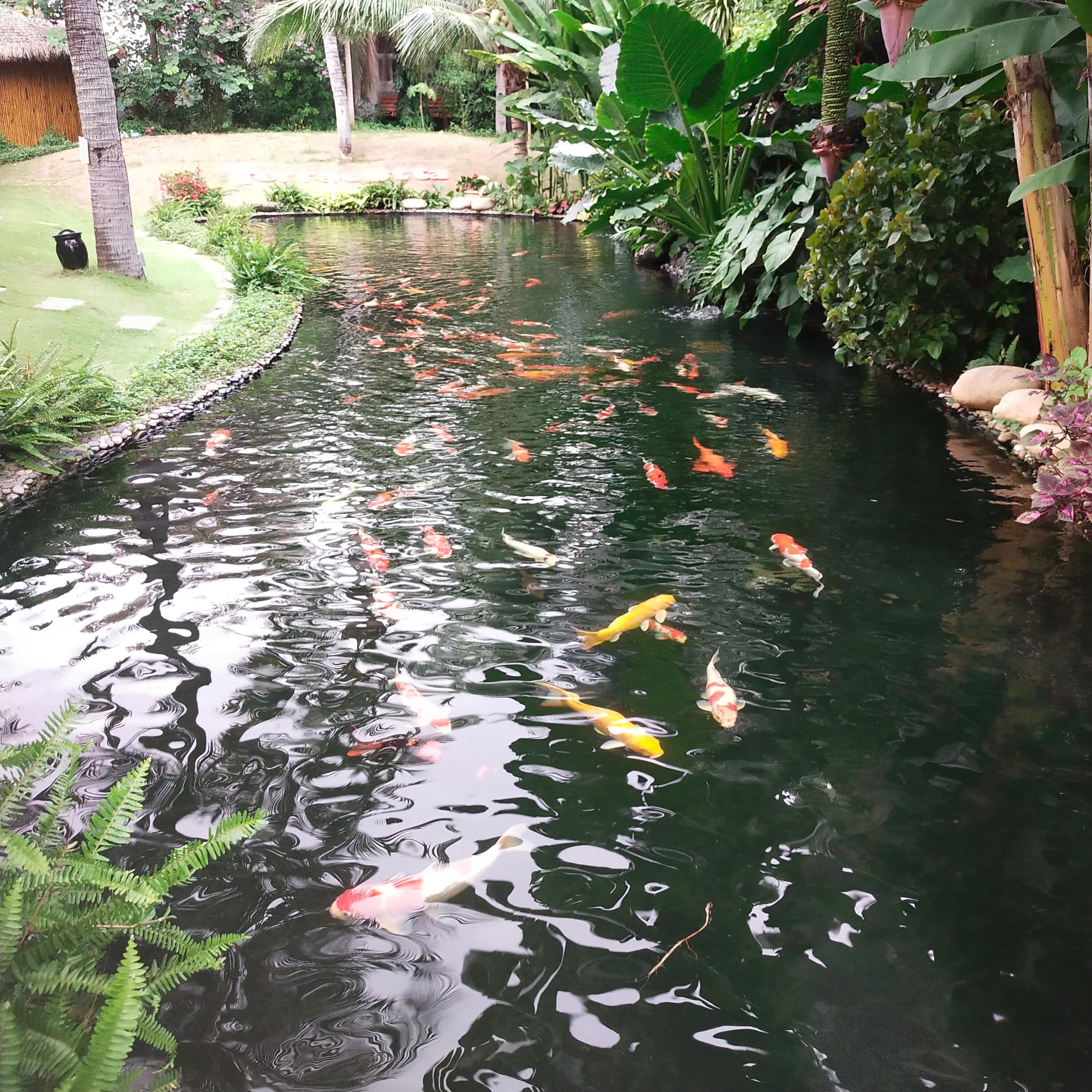 Фото Terracotta Resort & SPA