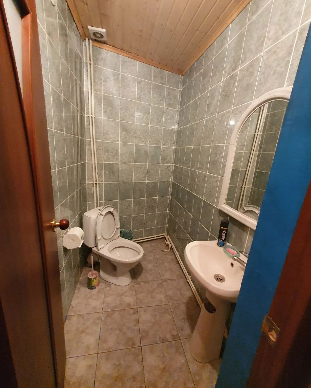 Фото Камыш