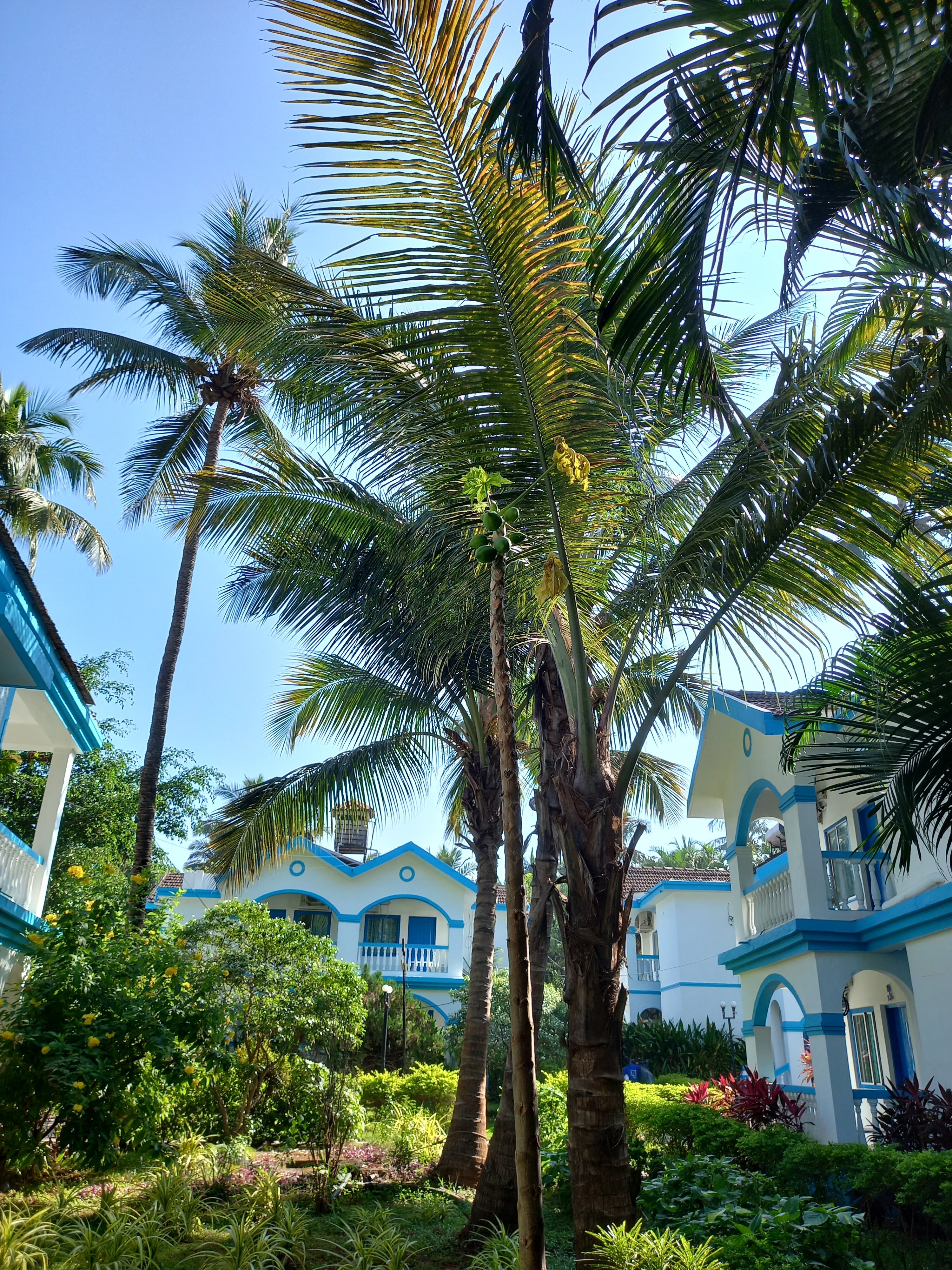 Фото Paradise Village Beach Resort
