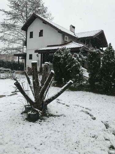 Гостиница Villa Özdilek в Картепе