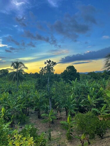 Гостиница Complejo Ecoturistico Rancho Cielo в Провинции Эспайльят