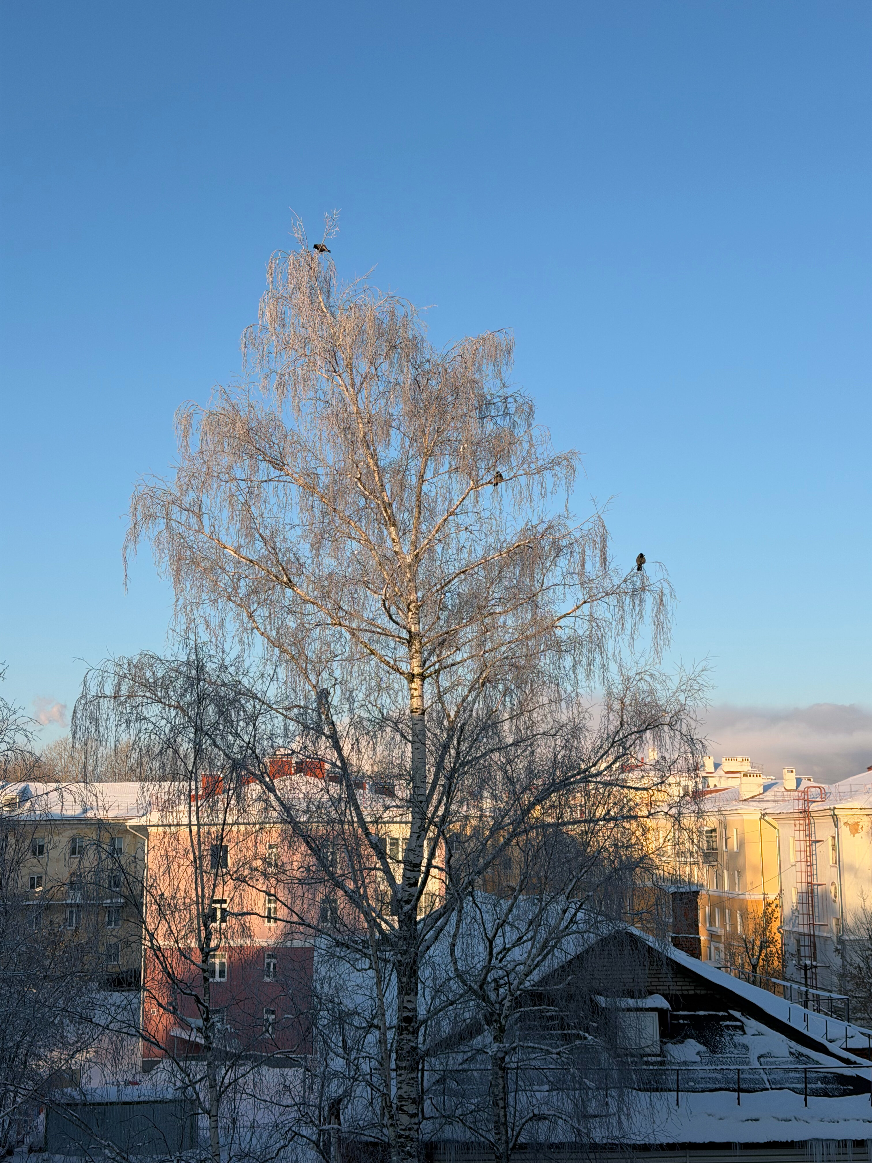 Фото Металлург
