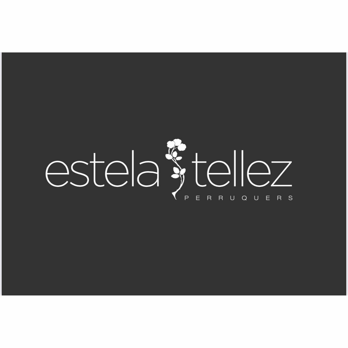Estela Téllez Perruquers