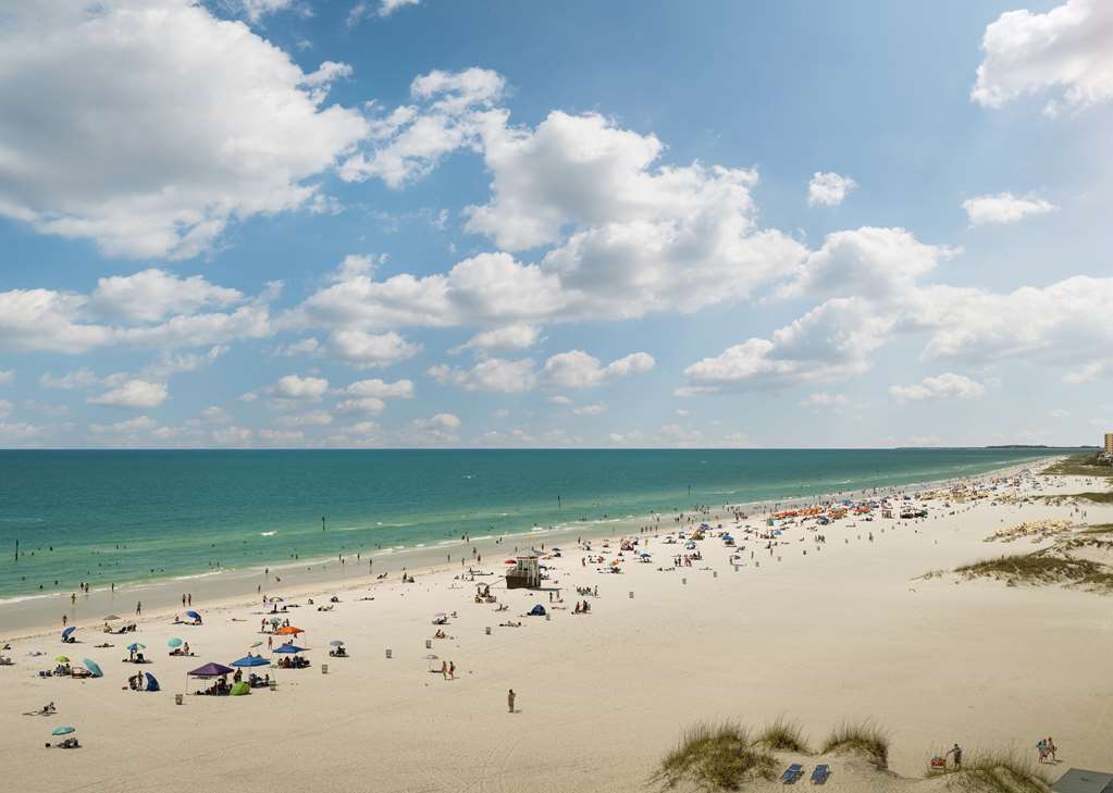 Фото Hilton Clearwater Beach Resort & SPA