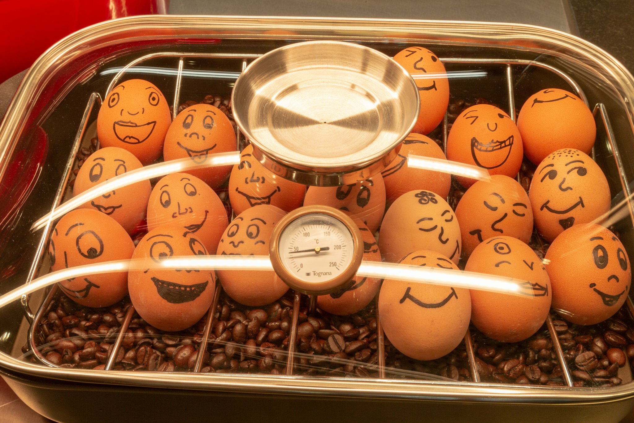 Фото The niu Franz