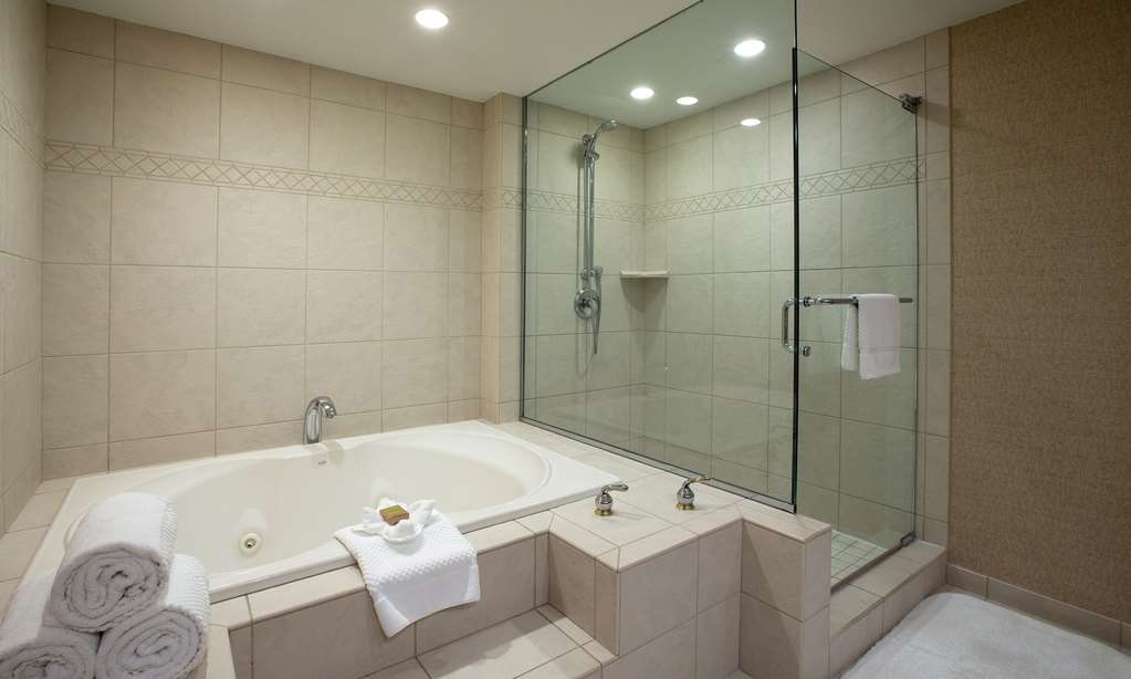 Фото Hilton Chicago/Northbrook