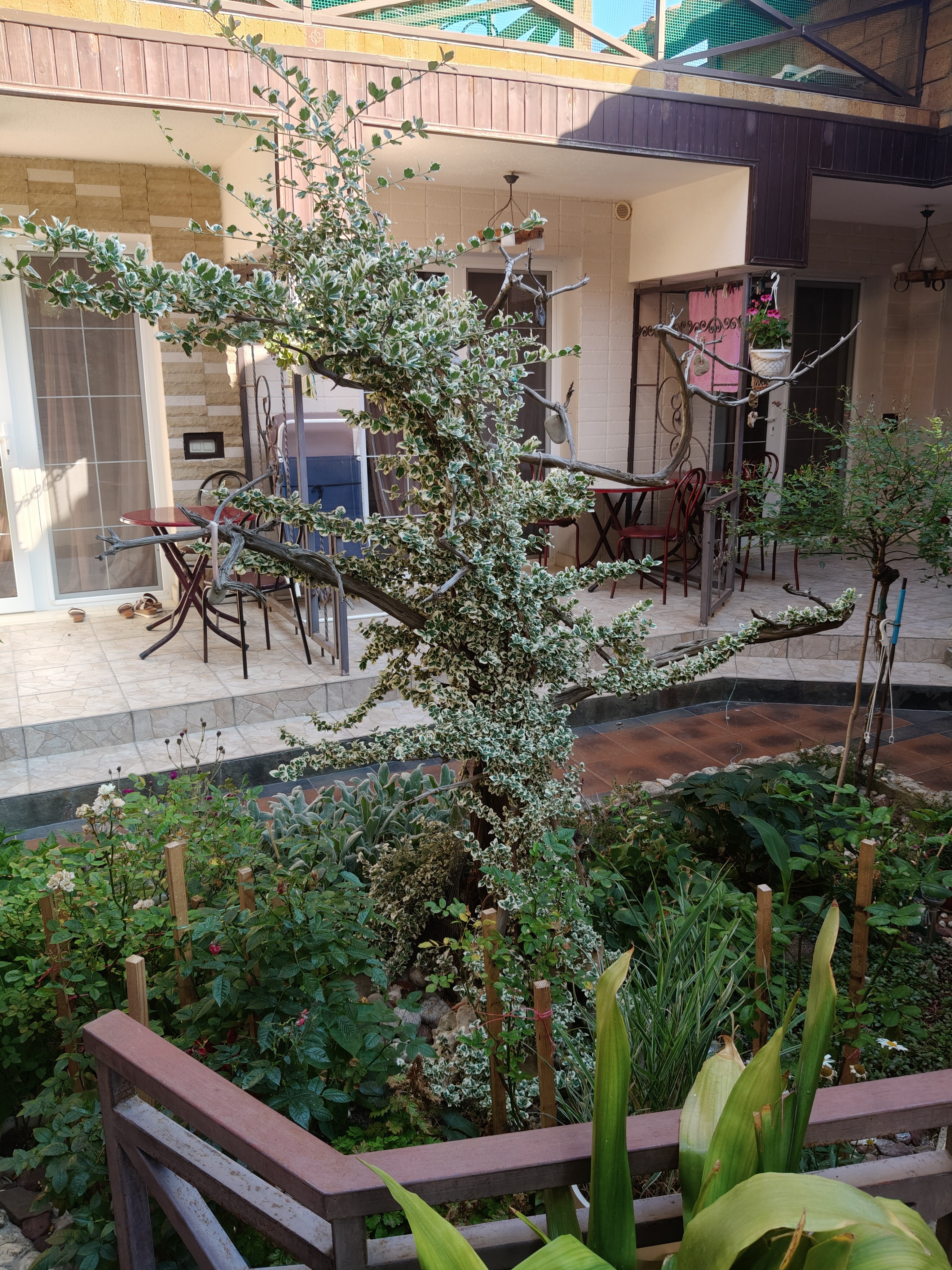 Фото Генуэзский дворик