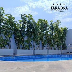 Гостиница Faraona Grand Hotel
