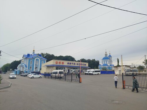 Мисс Новочеркасск жалаңаш