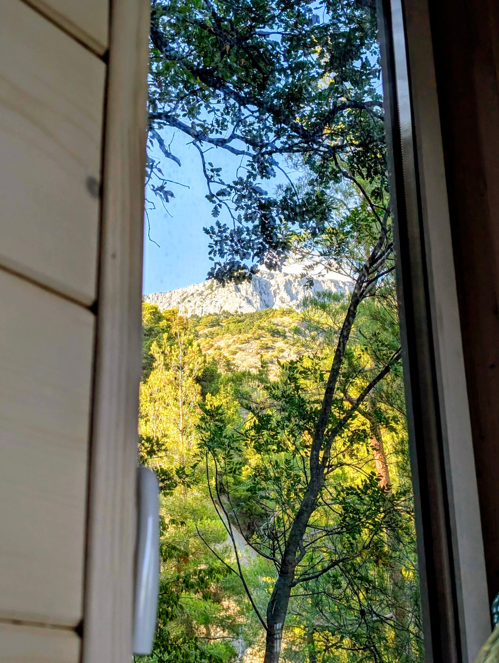 Фото Панорама