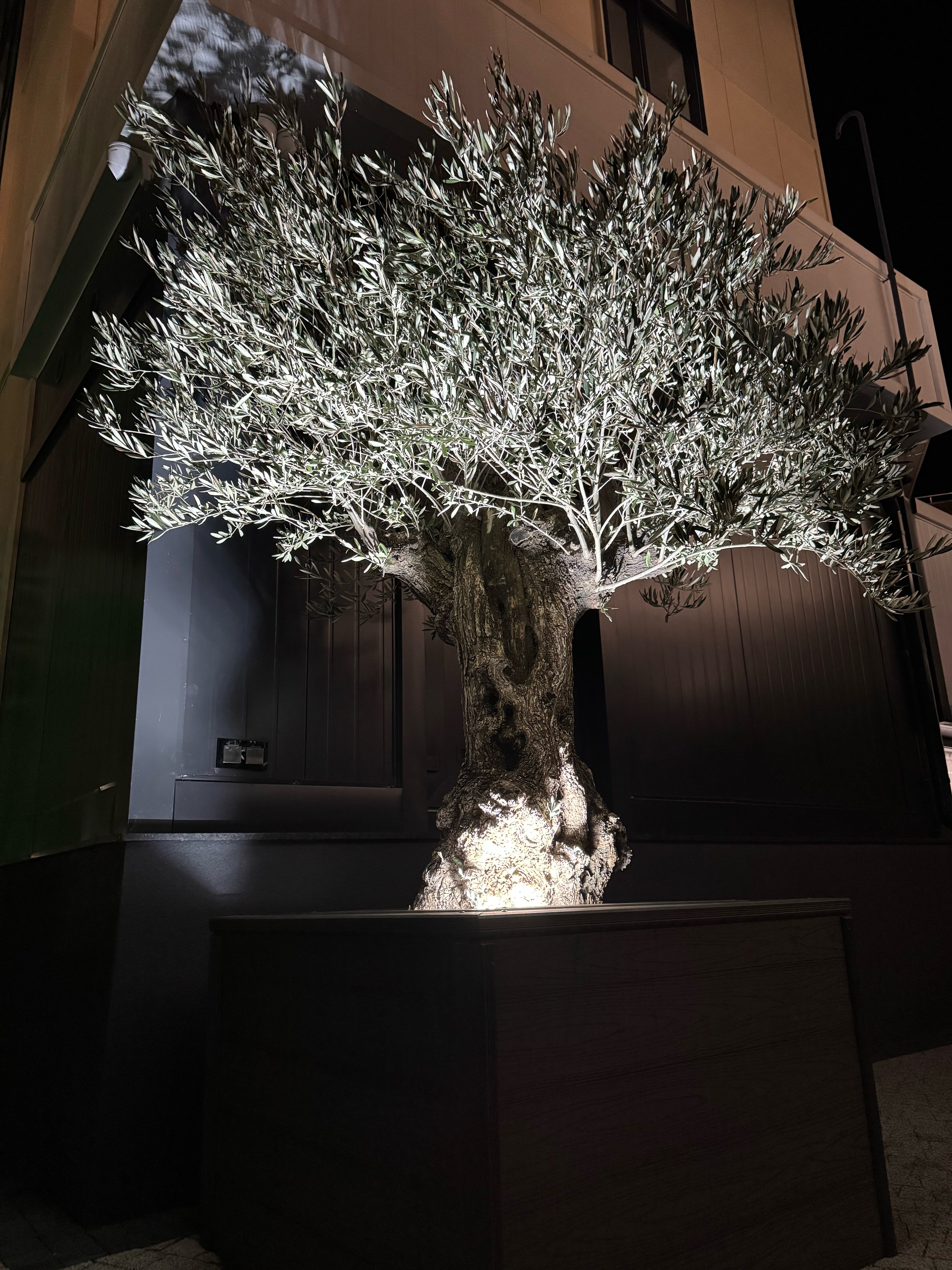 Фото Ривьера