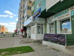 Воспитай друга (Baltiyskaya Street, 105), canine service