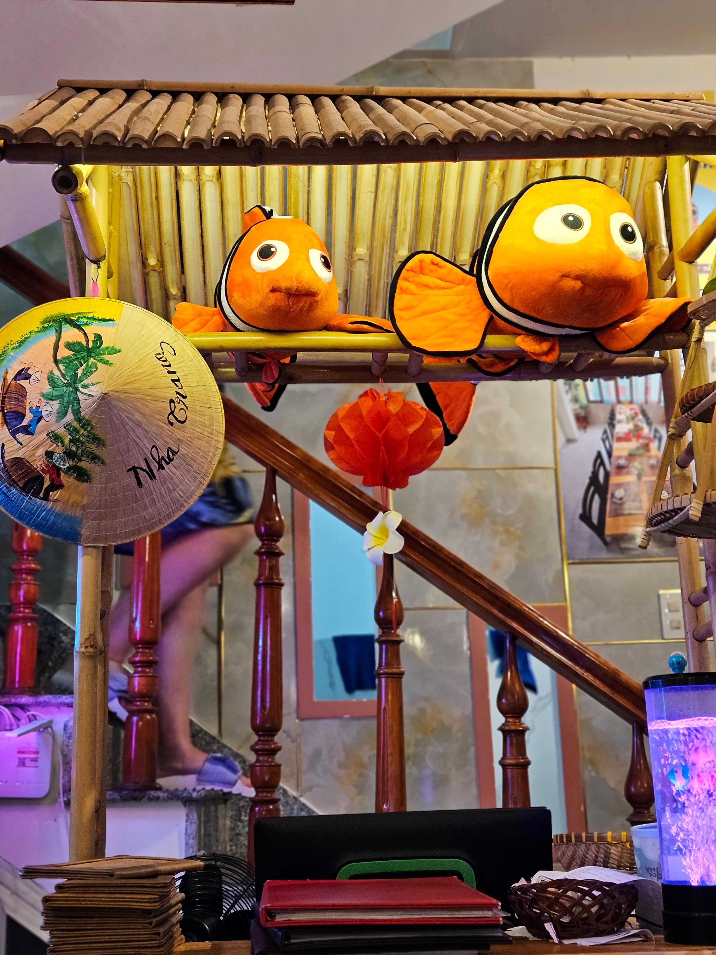 Фото Premier Havana