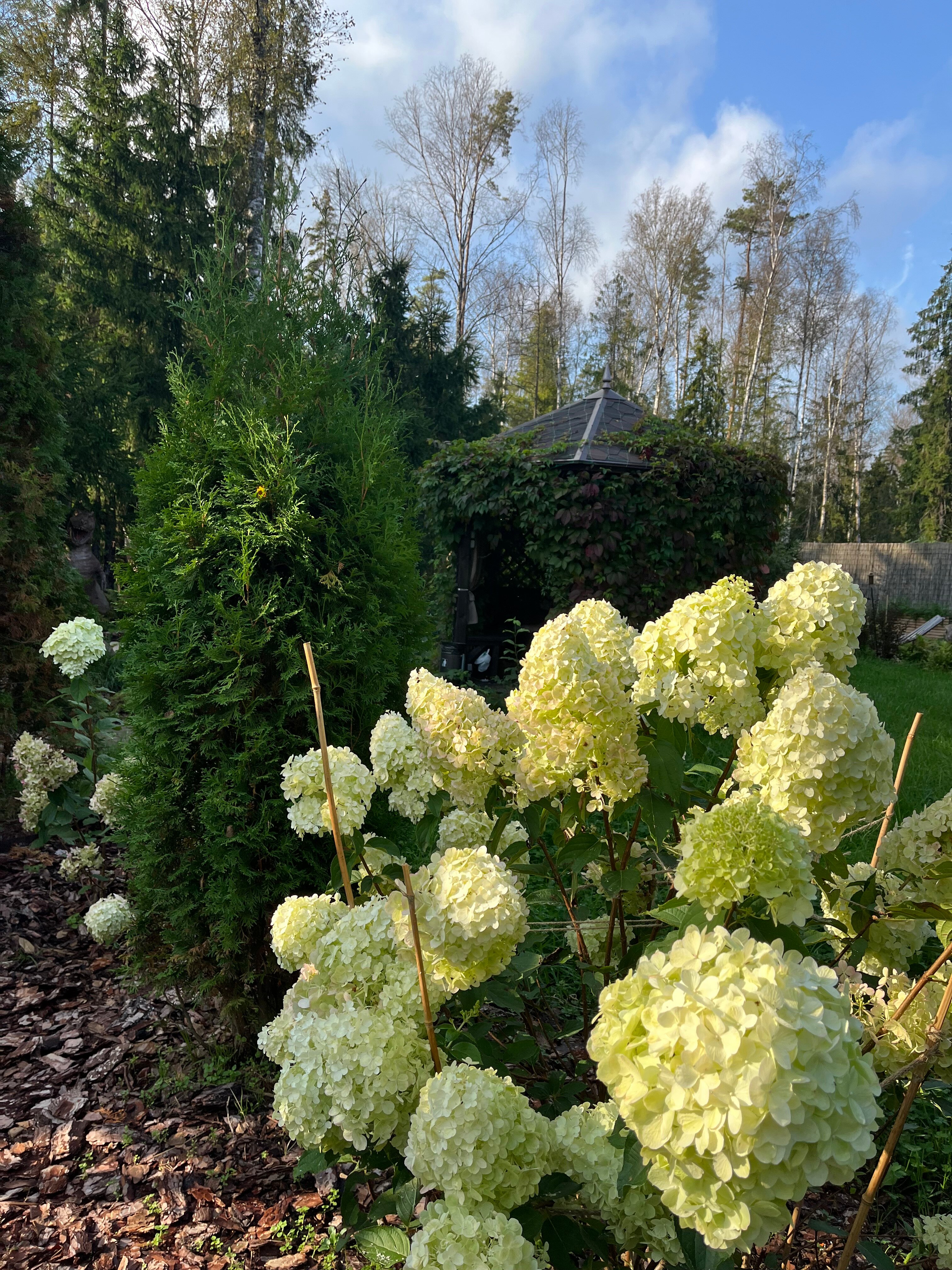 Фото Лопановичъ Park