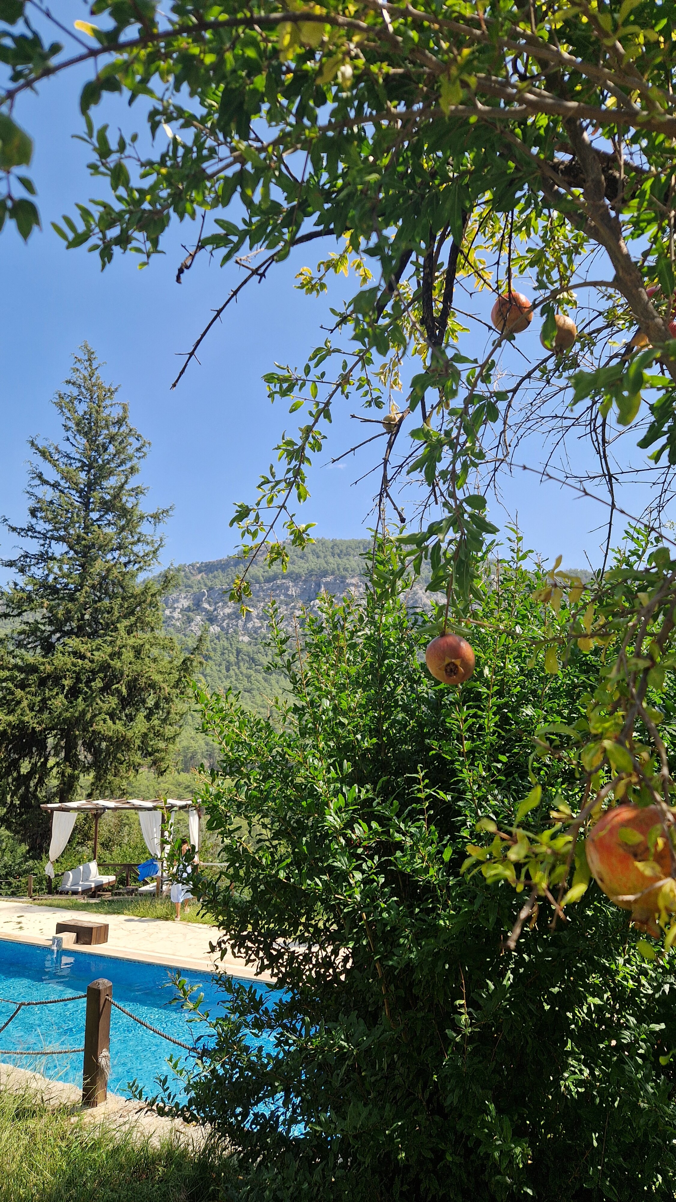 Фото Lycia Nature House