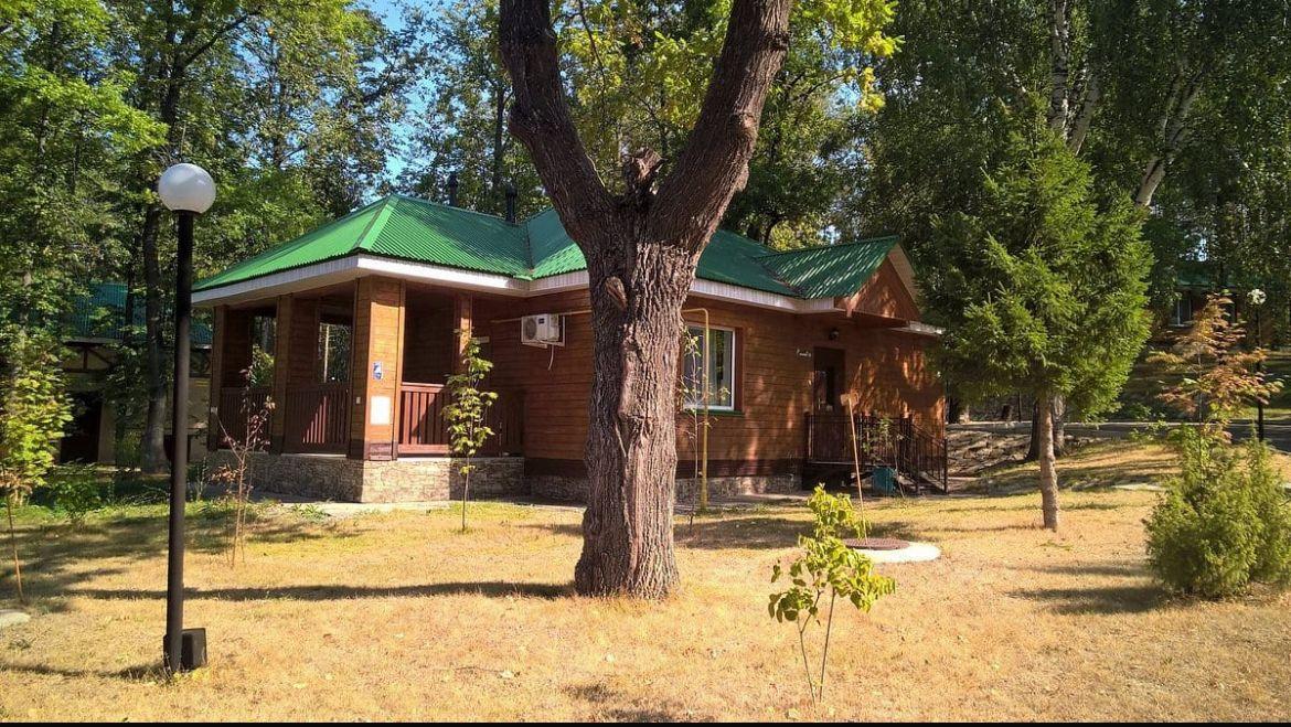 Фото Лесной