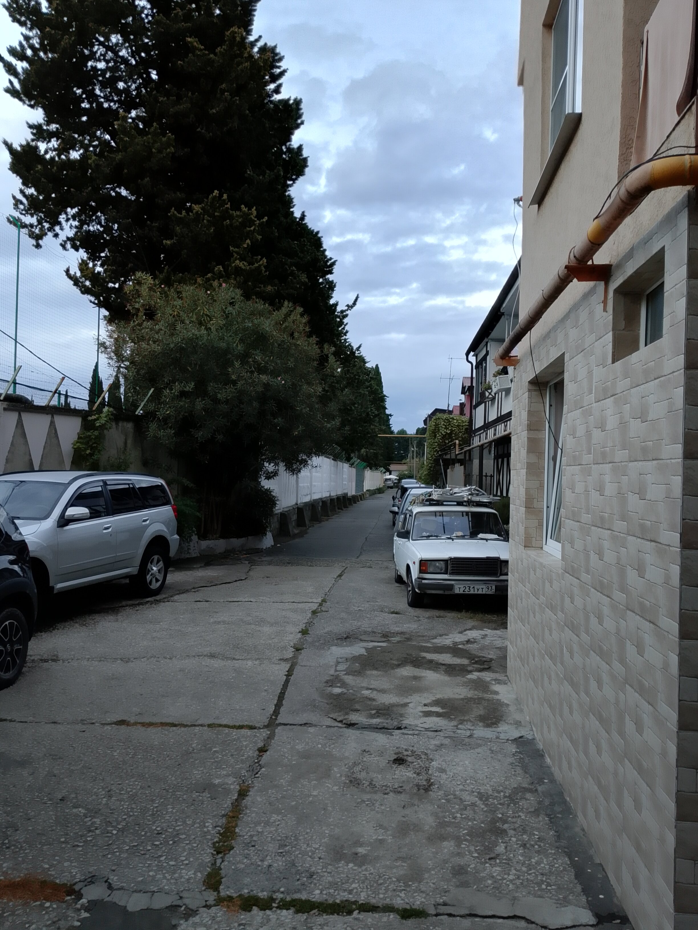 Фото Надежда