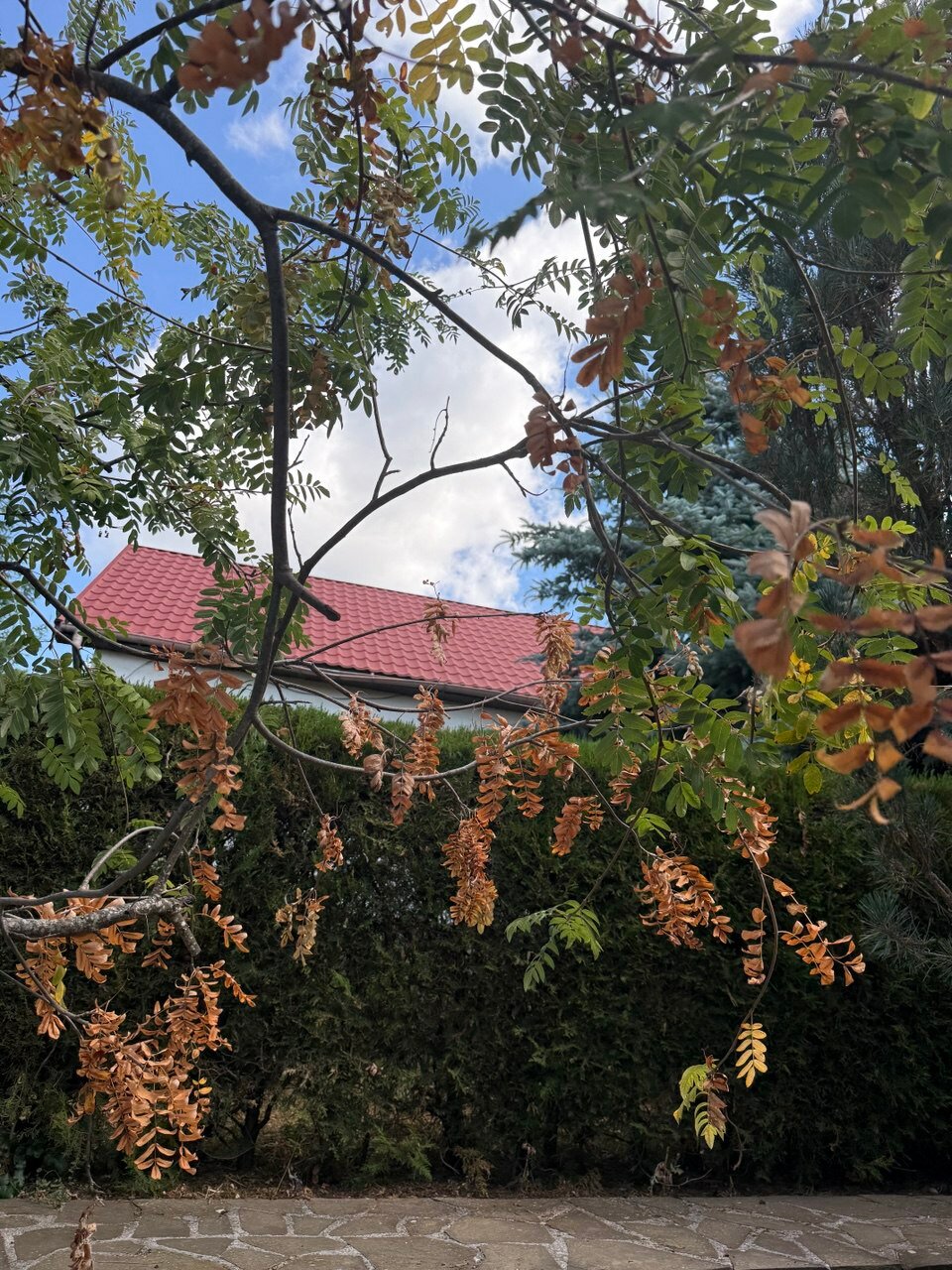 Фото Райский уголок