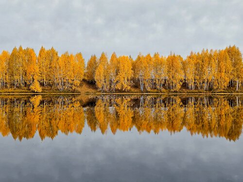 Uy qurilishi video uy qurilishi porno