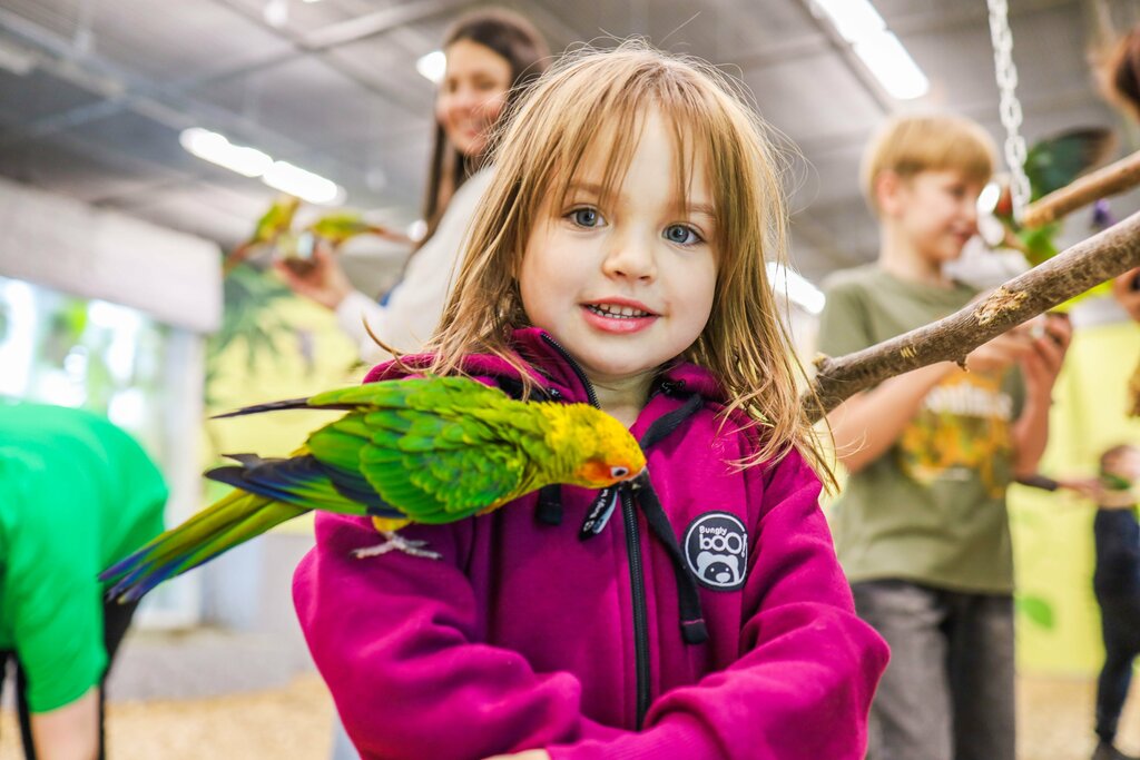 Zoo Dom Popugaev, Mytischi, photo