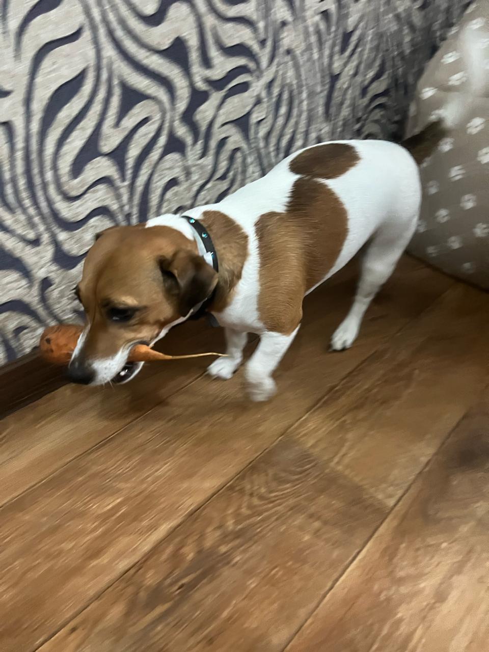 Фото Престиж