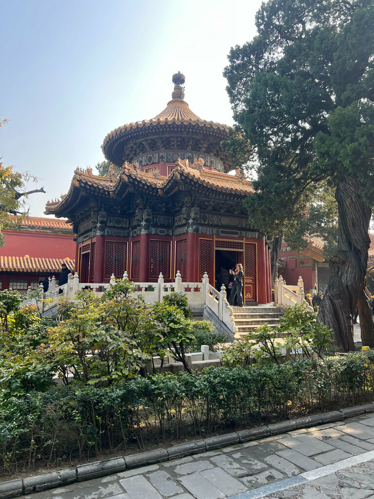 Park İmparatorluk Bahçesi, Beijing, photo