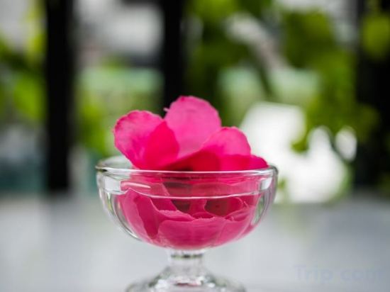 Фото Blue Lagoon Hotel