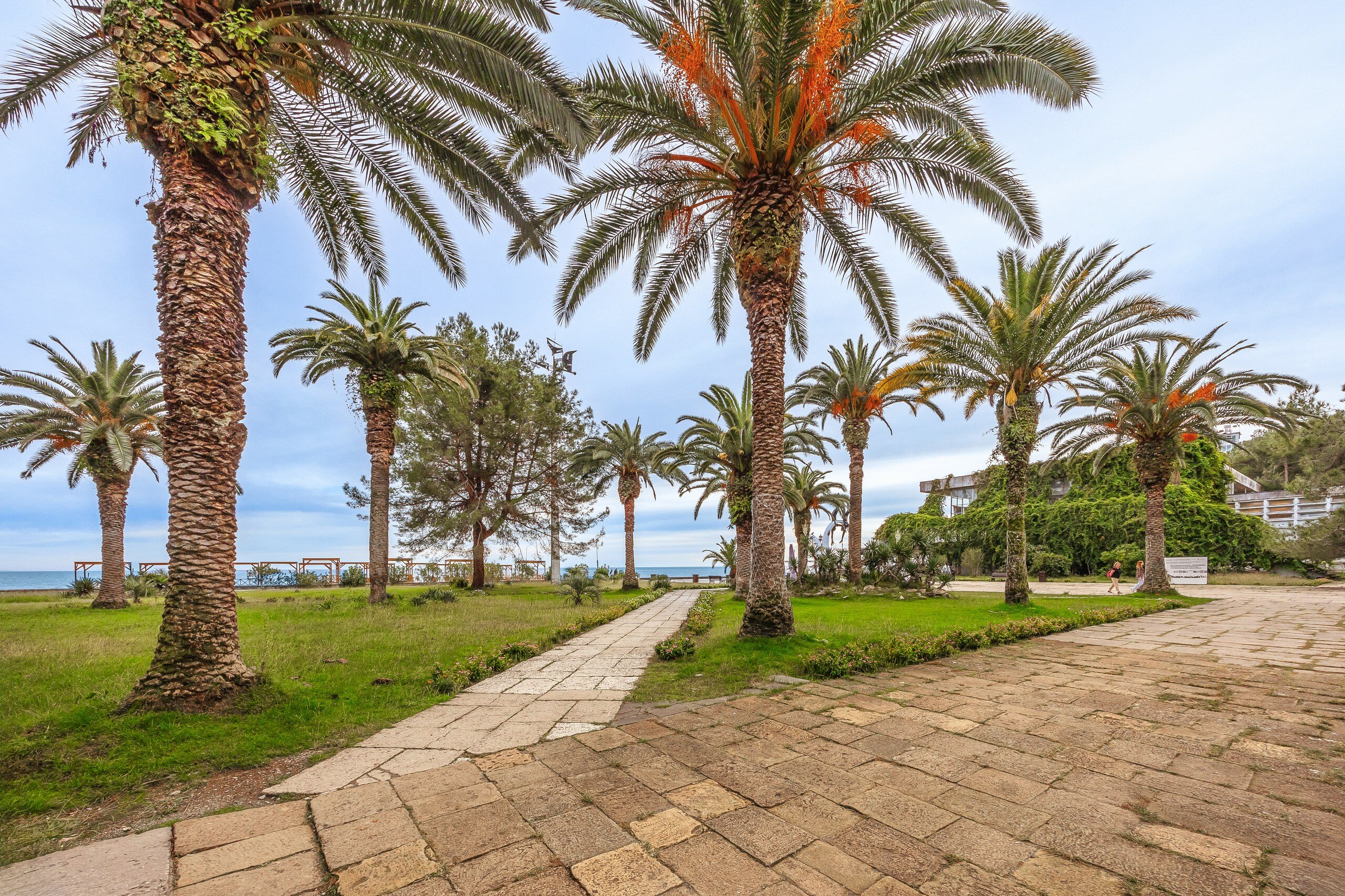 Фото Eco House Pitiunt