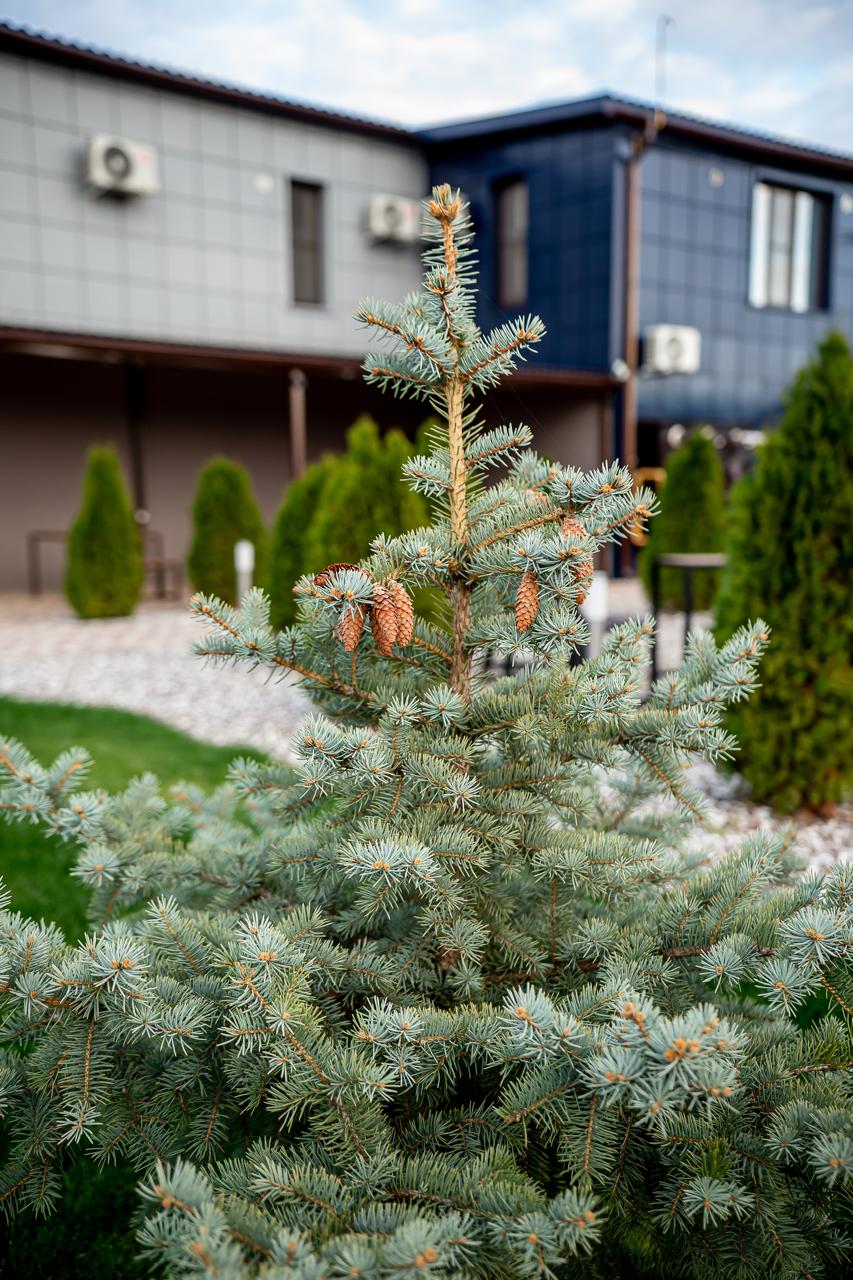 Фото Мотель Самолёт