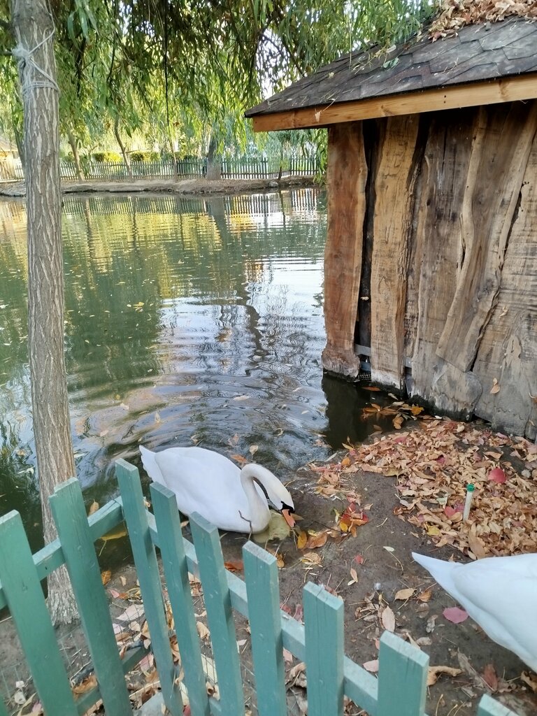 Coffee shop Global Coffee, Tashkent, photo
