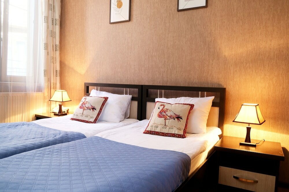 Фото Фламинго