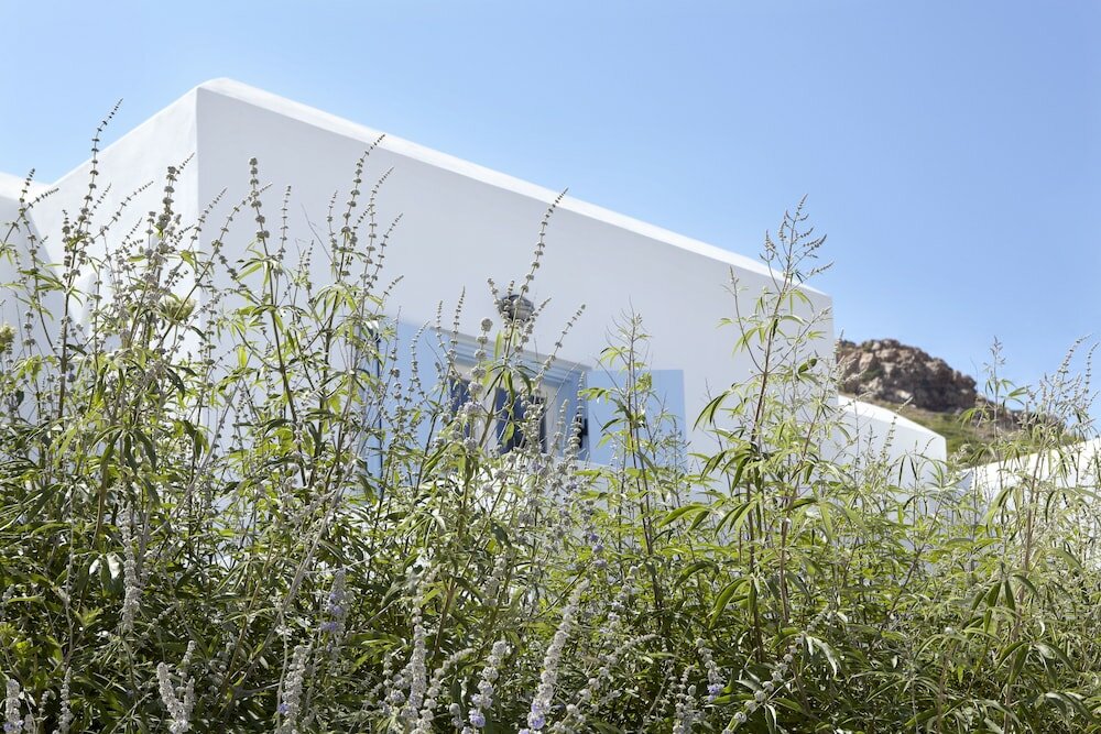 Фото Hotel Mediterranean