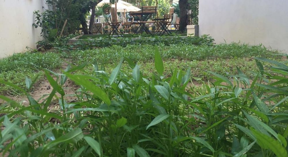 Фото Heritage Homestay