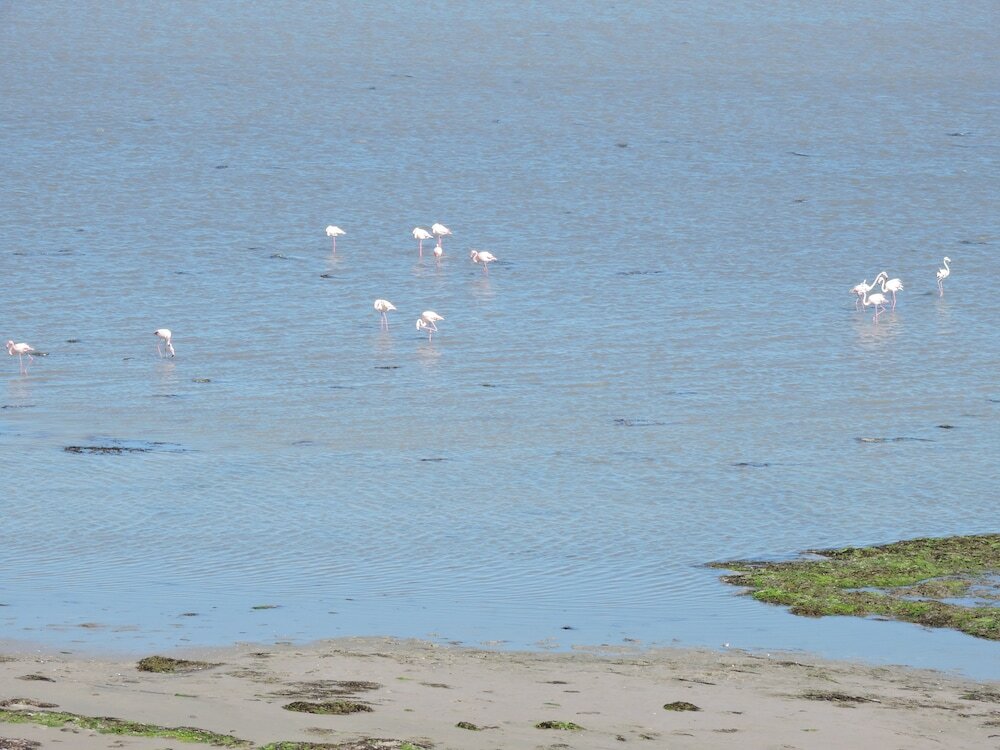 Фото Hôtel Al Baraka