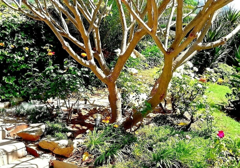 Фото De Wingerd Wijnland Lodge