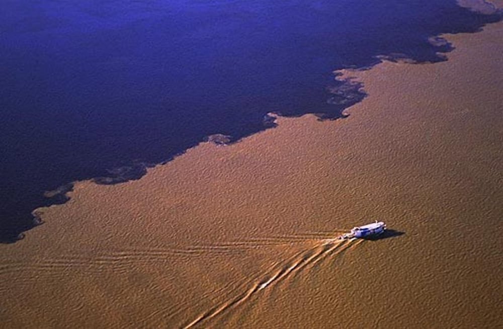 Фото Holiday Inn Manaus, an Ihg Hotel